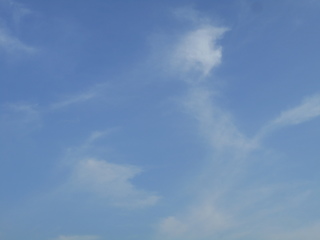 DSCN0315.JPG