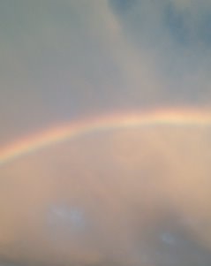Rainbow1.jpg